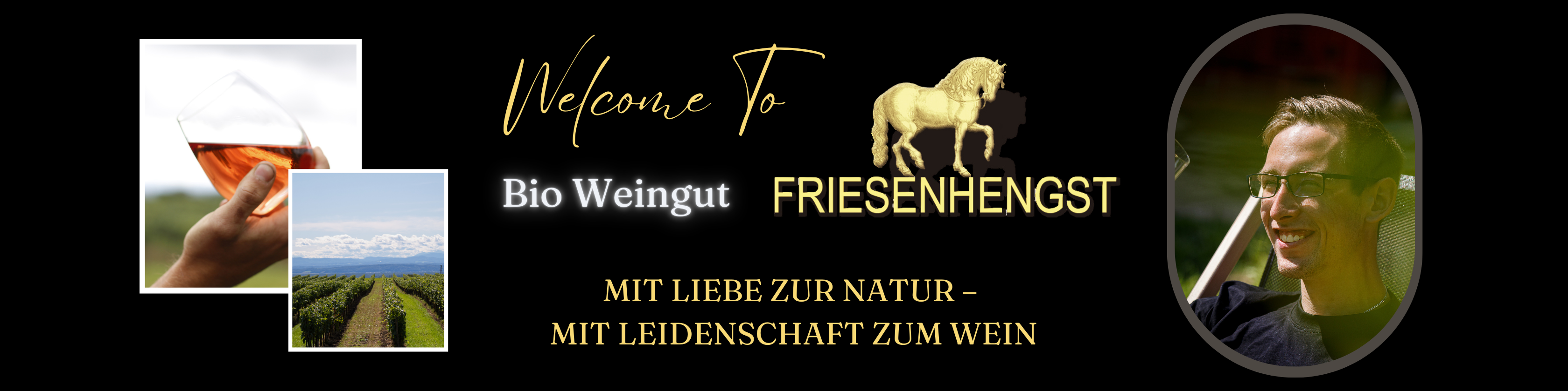 Willkommen beim BIO Weingut Friesenhengst