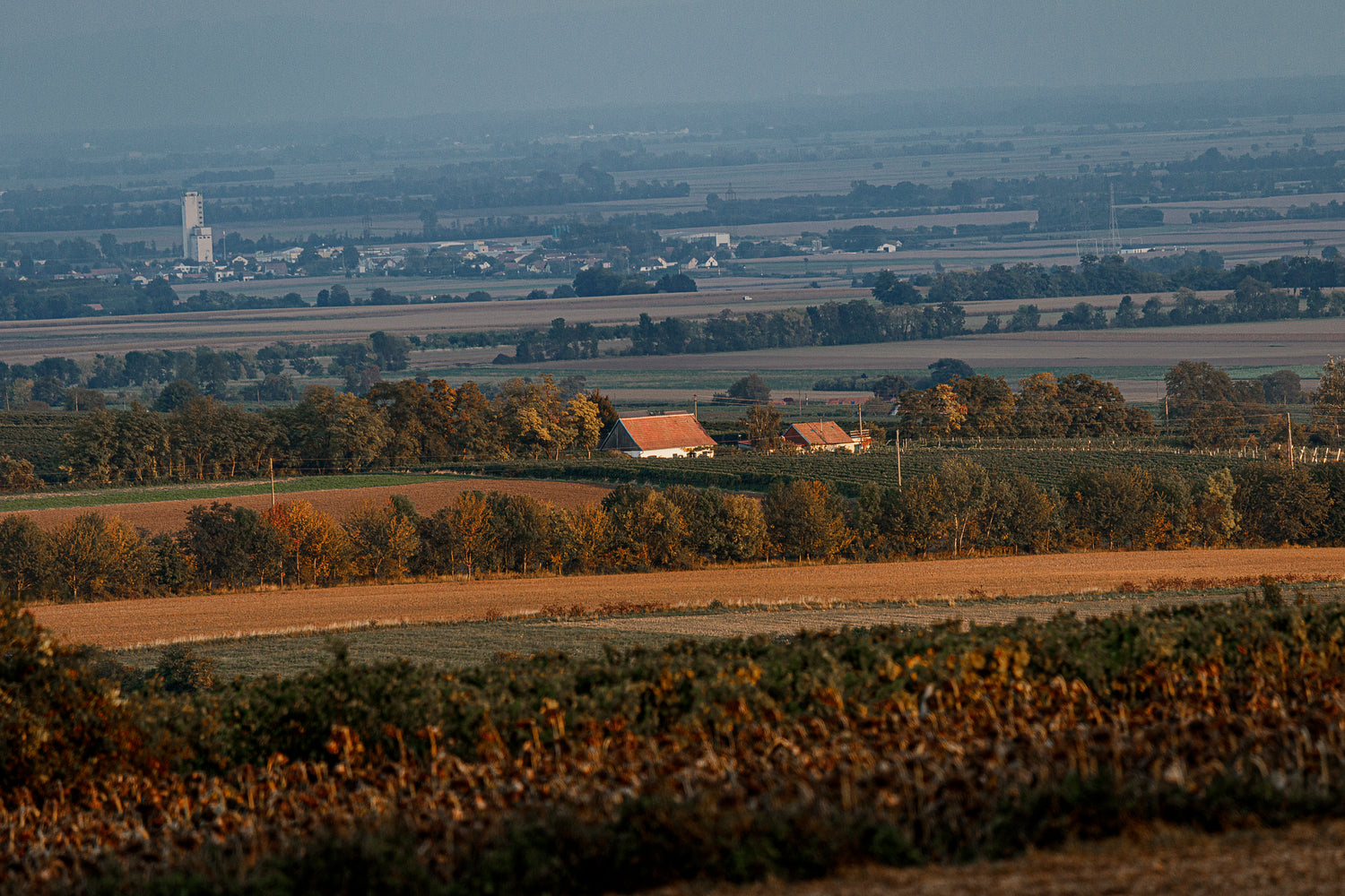 Ausblick über den Wagram 